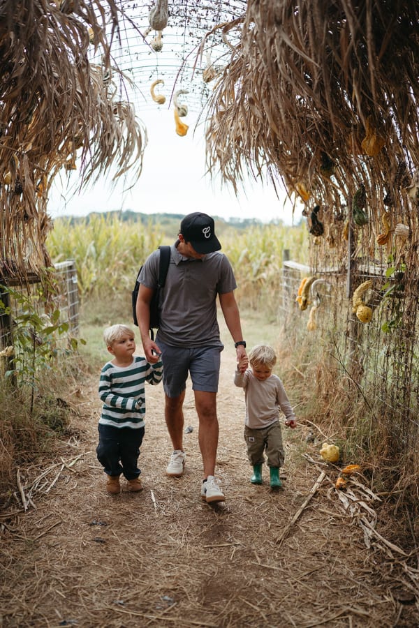 Families walking through the corn maze