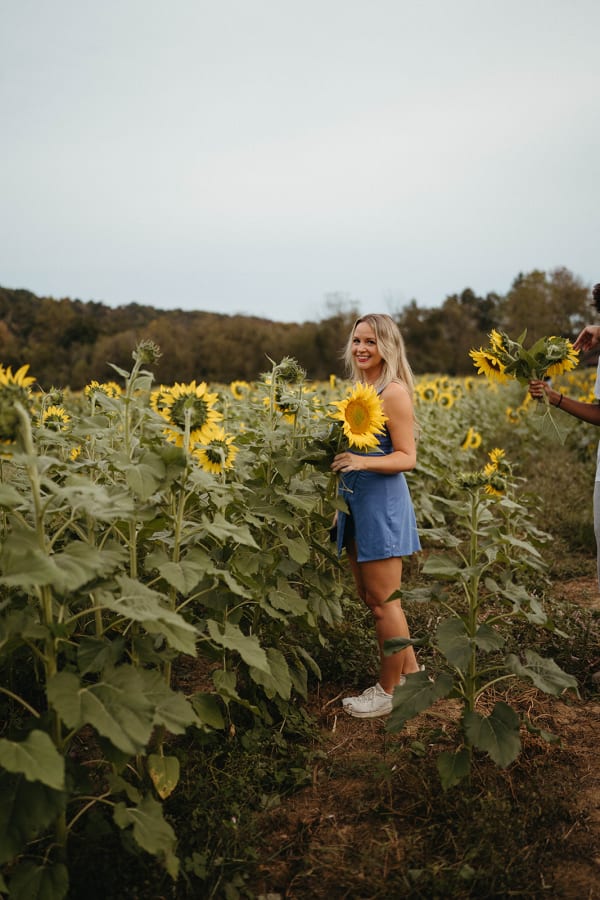 Woman holding a sunflower in the sunflower field