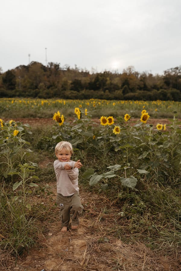 Toddler walking a path in the sunflower field