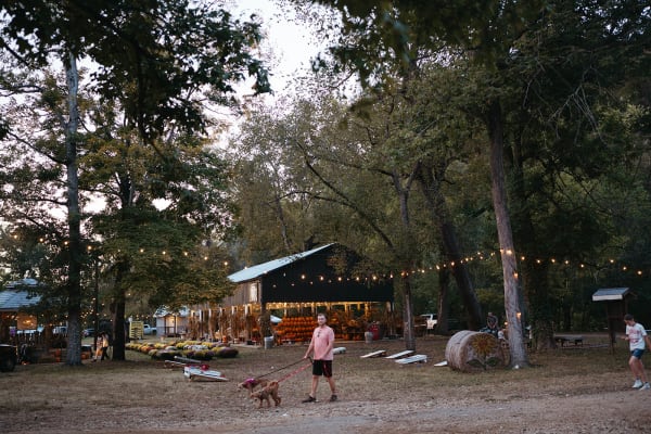 Evening light over the festival grounds