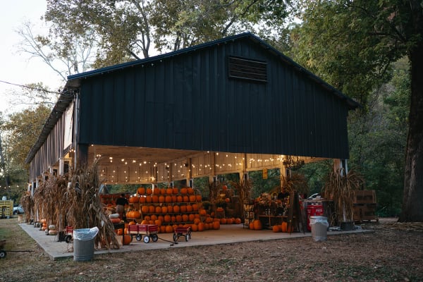 Barn glowing with string lights and stacked pumpkins at dusk