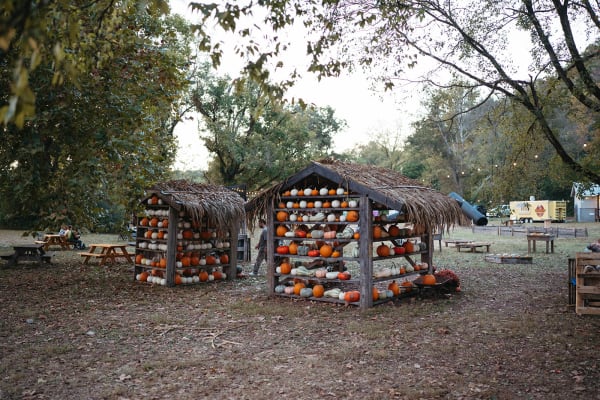 Pumpkin huts decorated with pumpkins and gourds