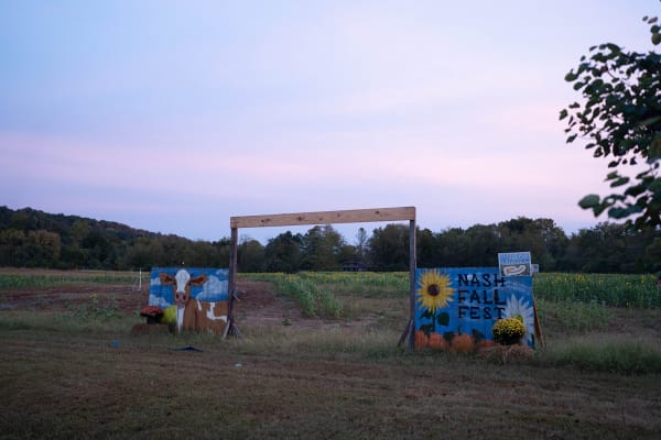 Painted photo boards in the field at sunset