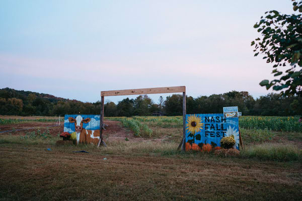 Painted photo boards in the field at sunset
