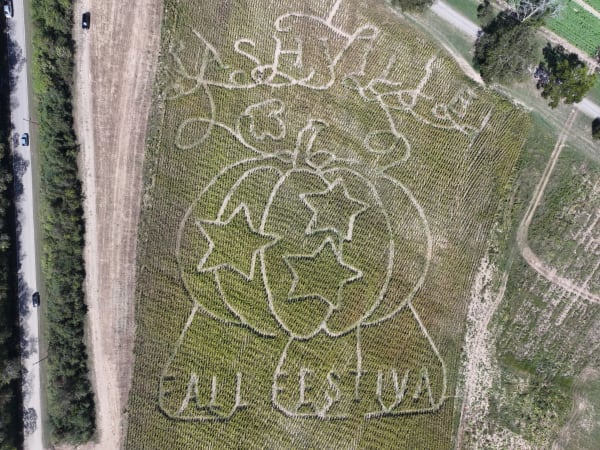 The corn maze design from directly above: “Nashville Fall Festival” around a pumpkin with stars