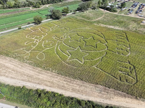Close aerial view of the corn maze paths