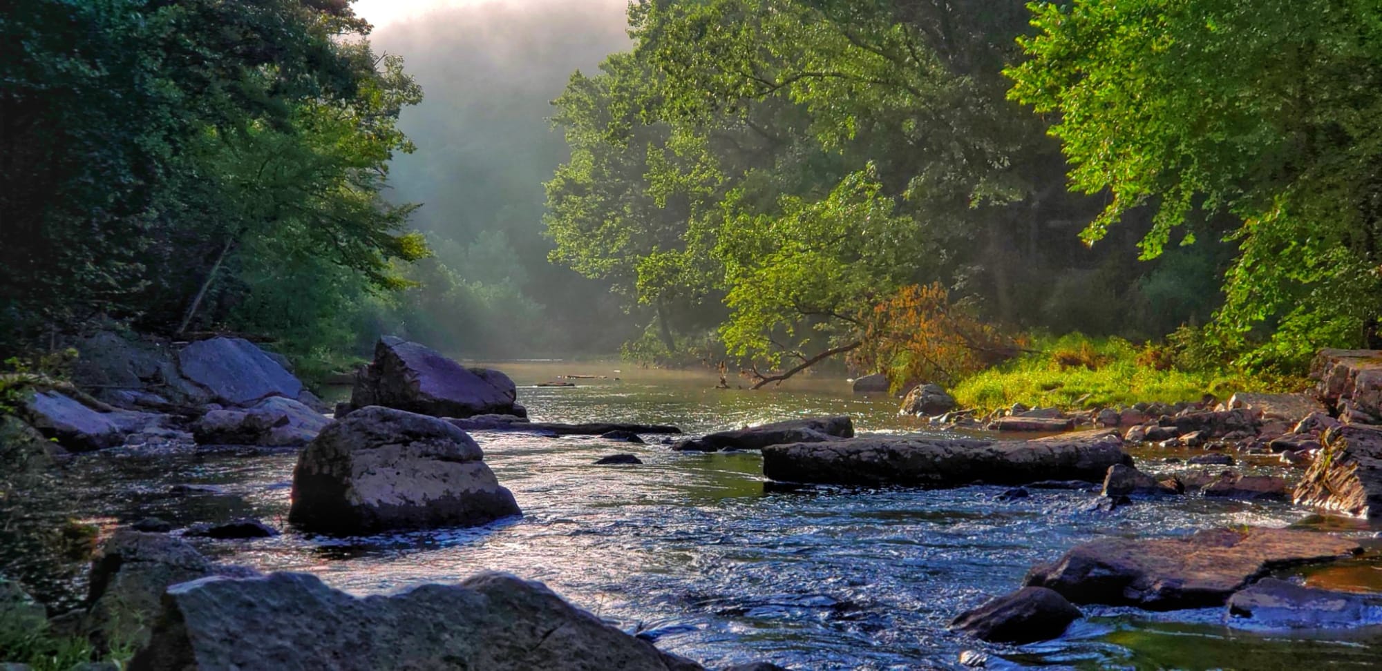A misty morning river flowing over rocks through a lush green forest