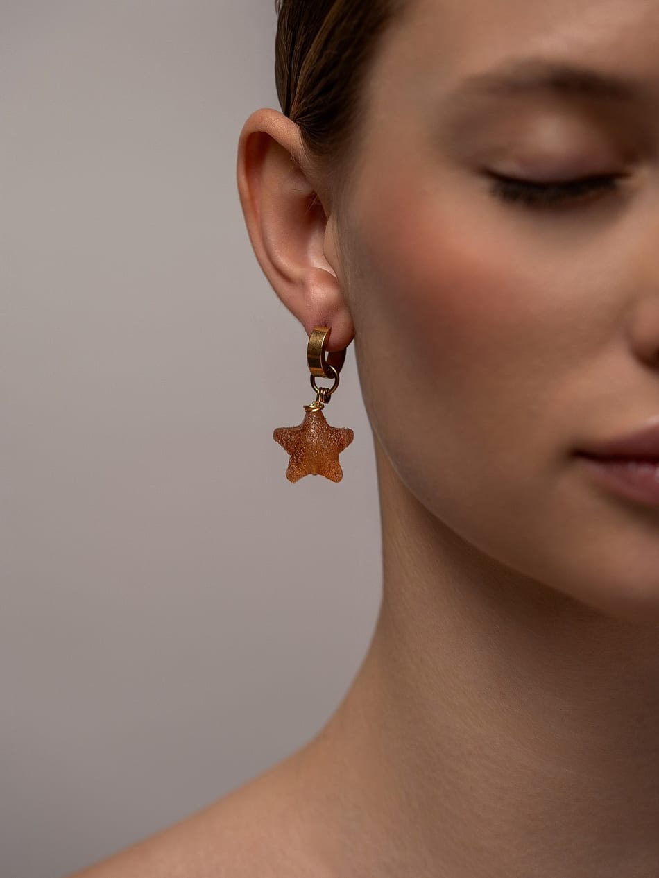 Earrings "Champagne Stardust" image 3