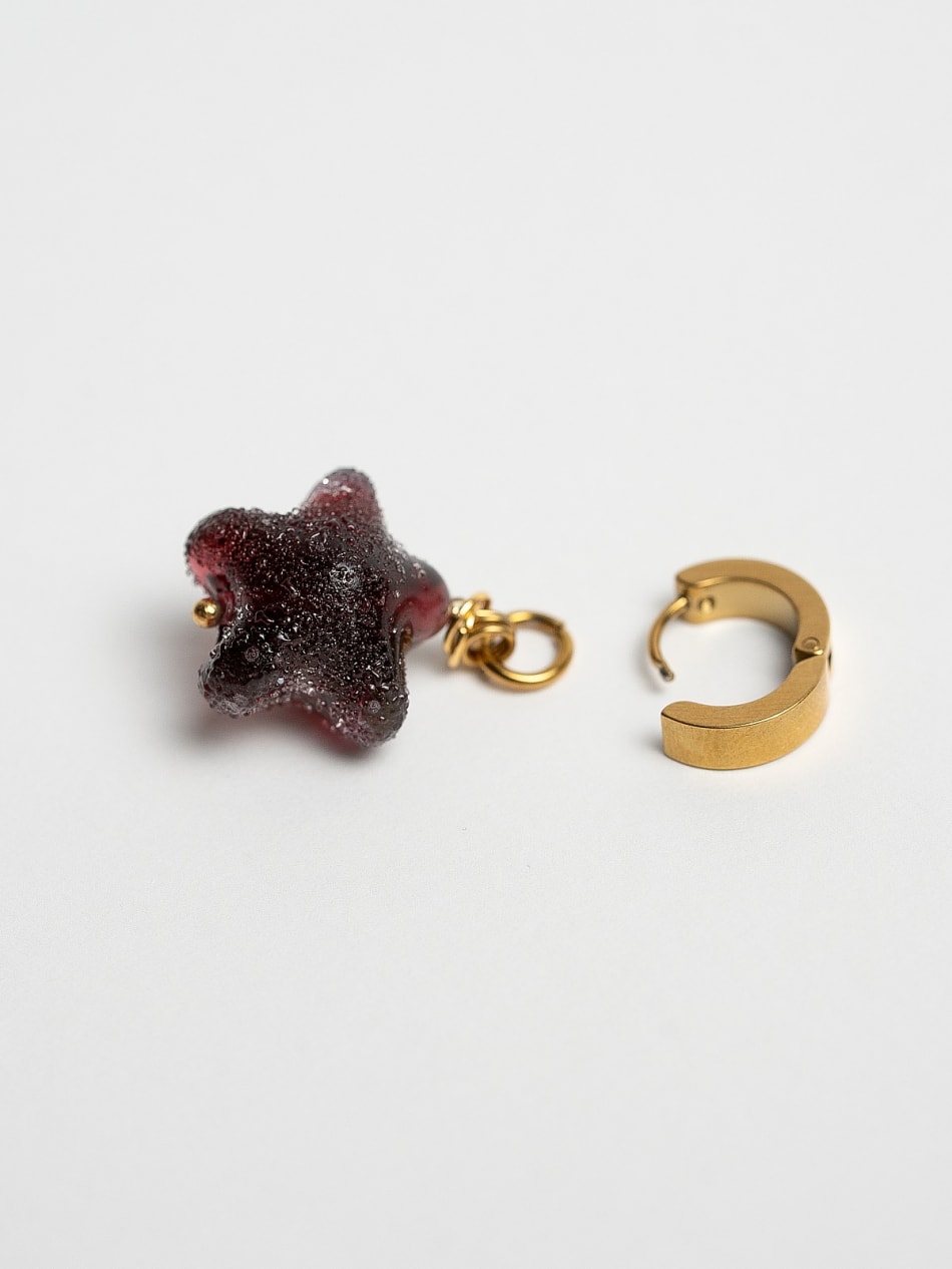 Earrings "Wine Wing" image 4