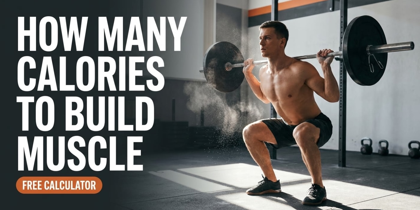 How Many Calories Should You Eat to Build Muscle? (Free Bulking Calculator Guide) โ MacrosMeasure
