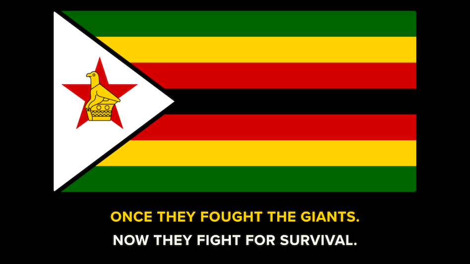 What Happened to Zimbabwe Cricket? The Rise, Fall, and Fight for Survival