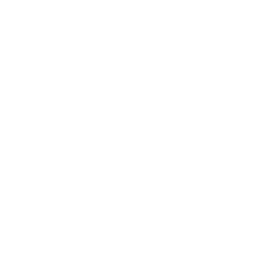 Bear Logo