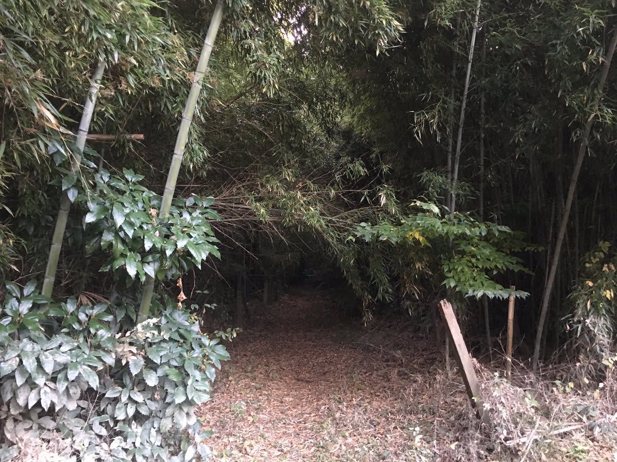 scene1