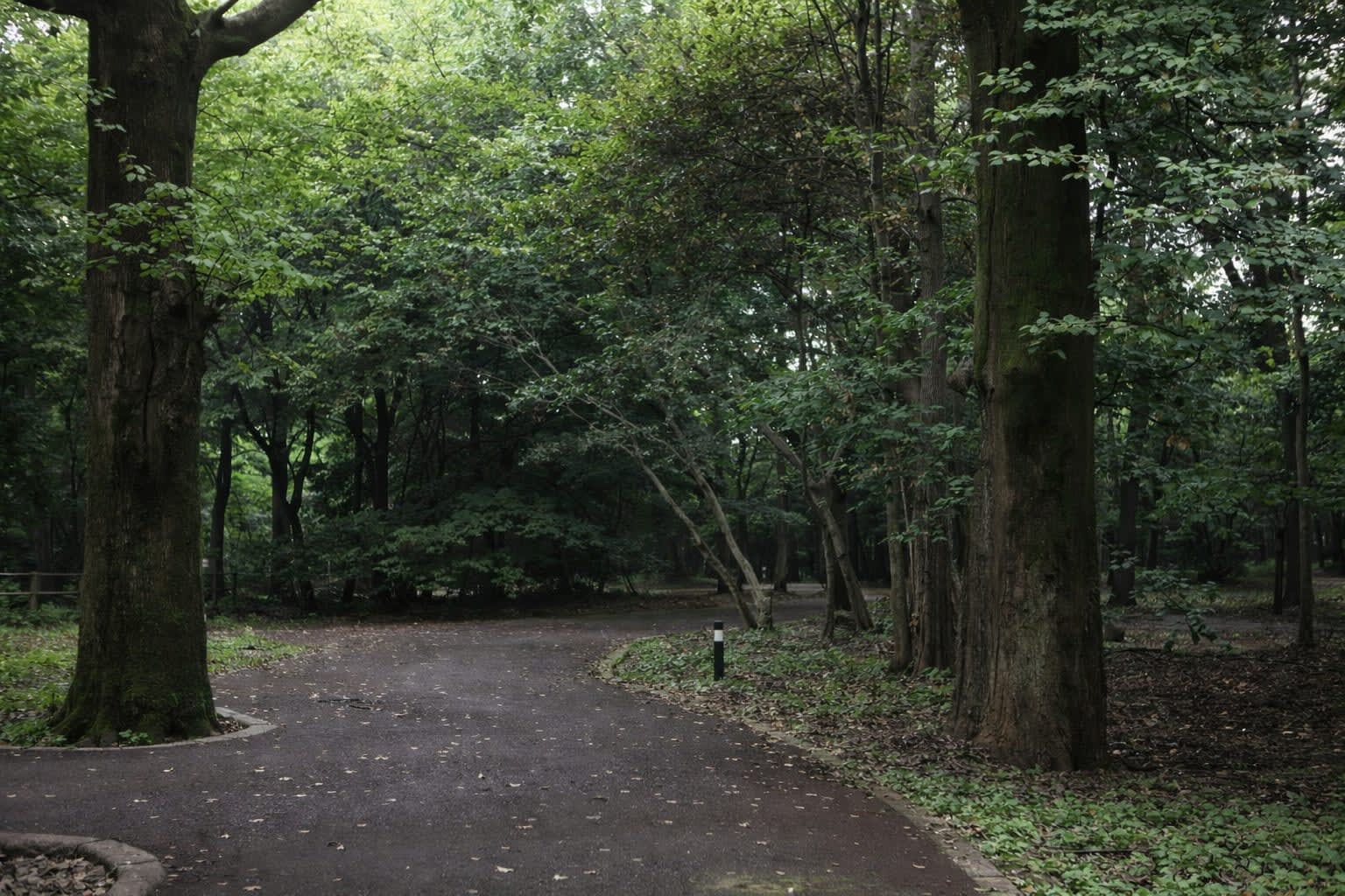 scene4