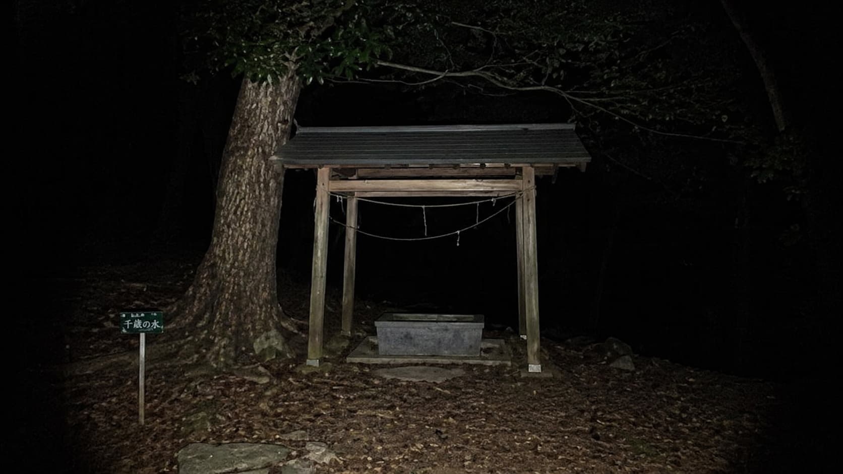 scene1