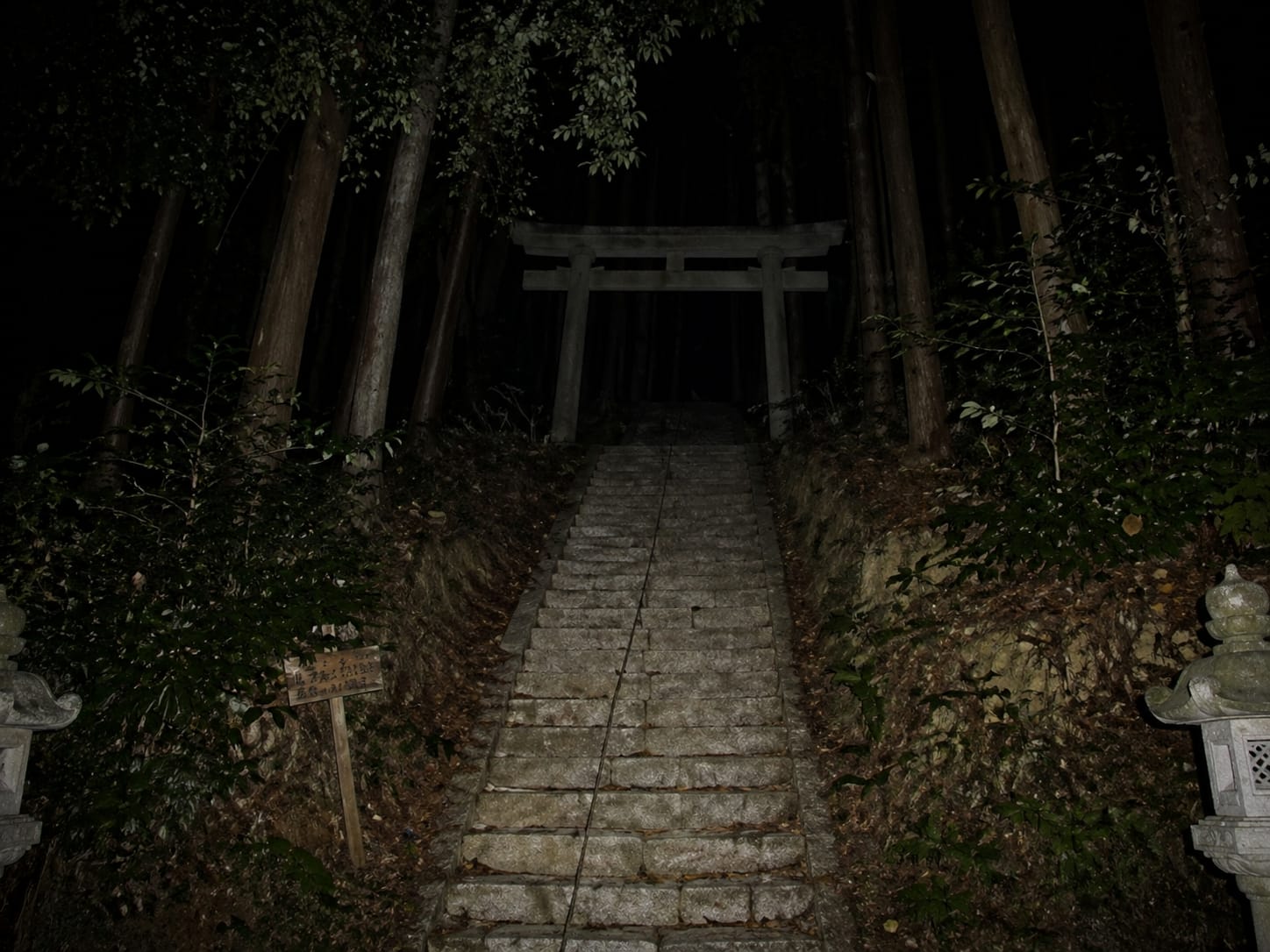 scene3
