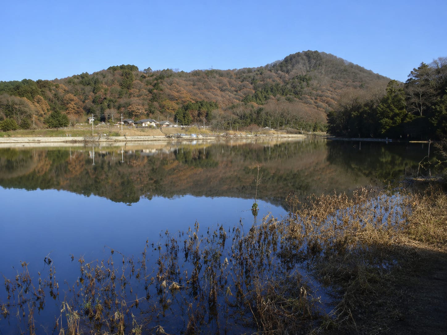 scene1