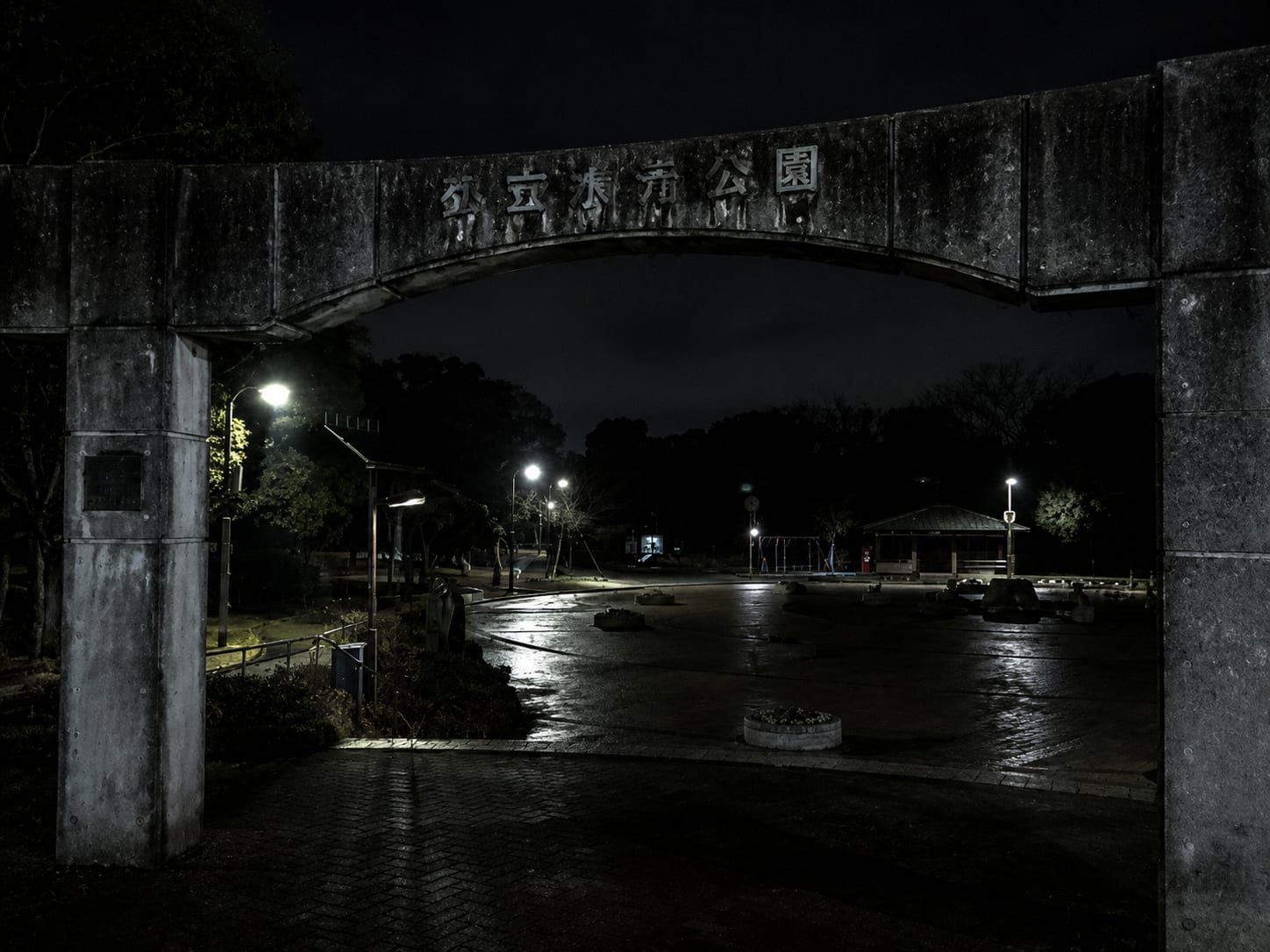 水元公園・小合溜の水辺