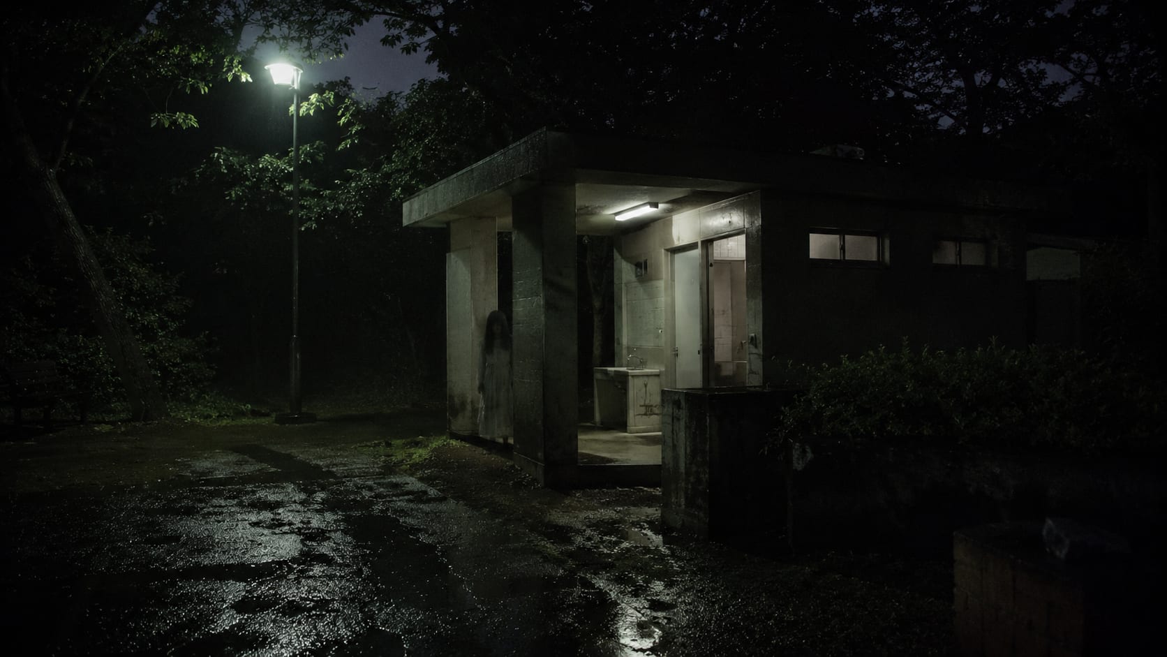 水元公園・園内の古木
