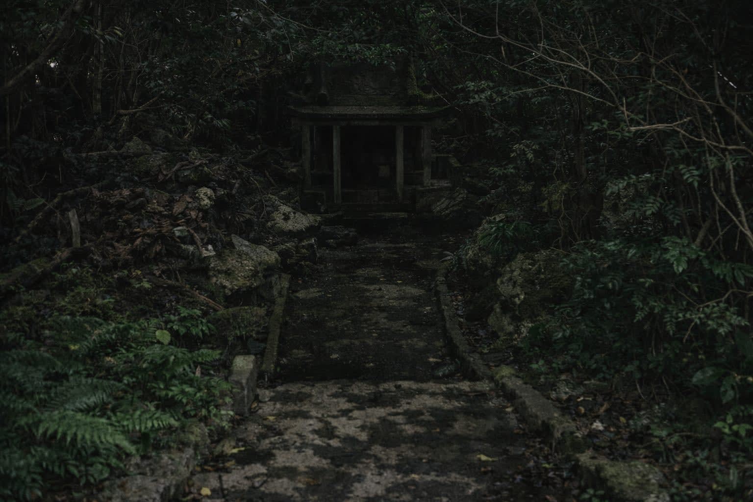 scene2
