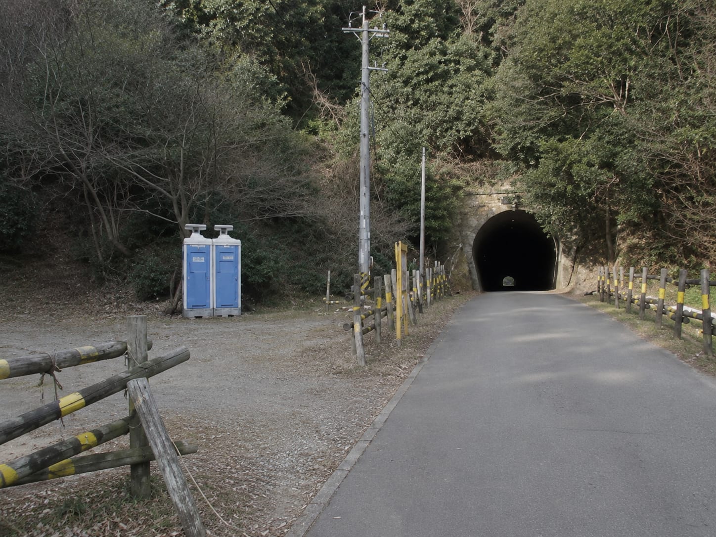 scene1