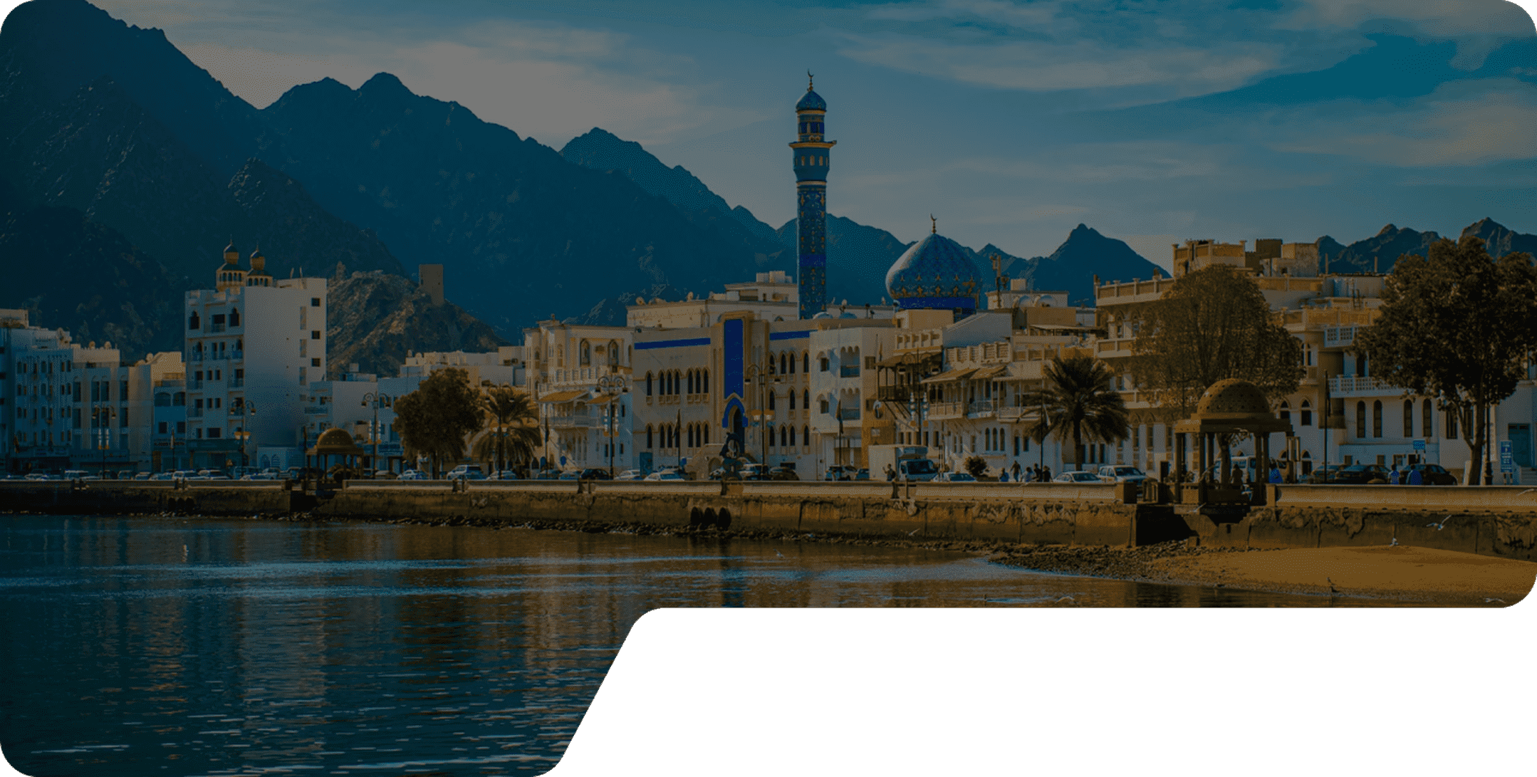 Intelligence that Drives Sustainability