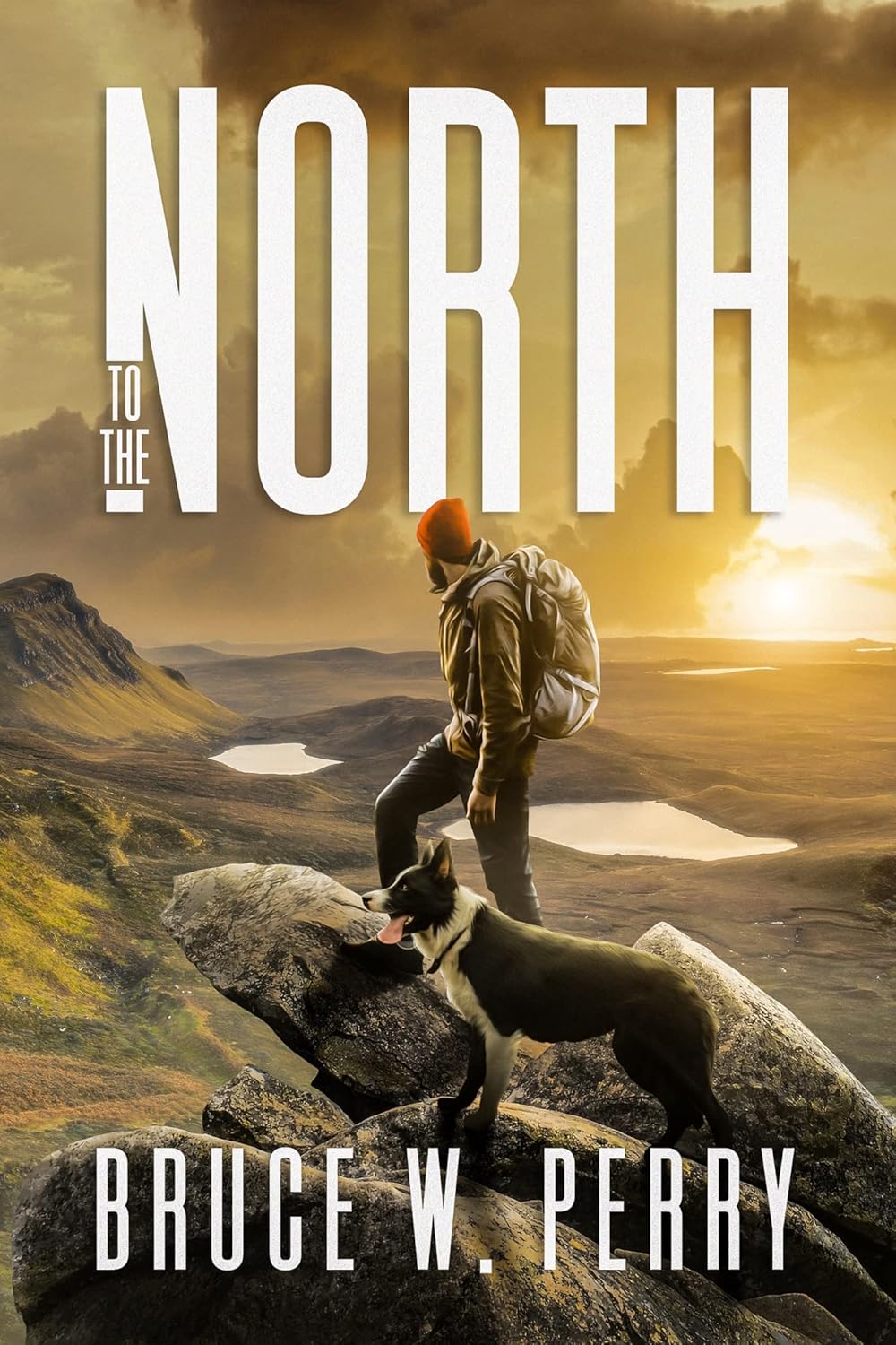 Vue 5 de Letrela Du Schizophrene Contributions