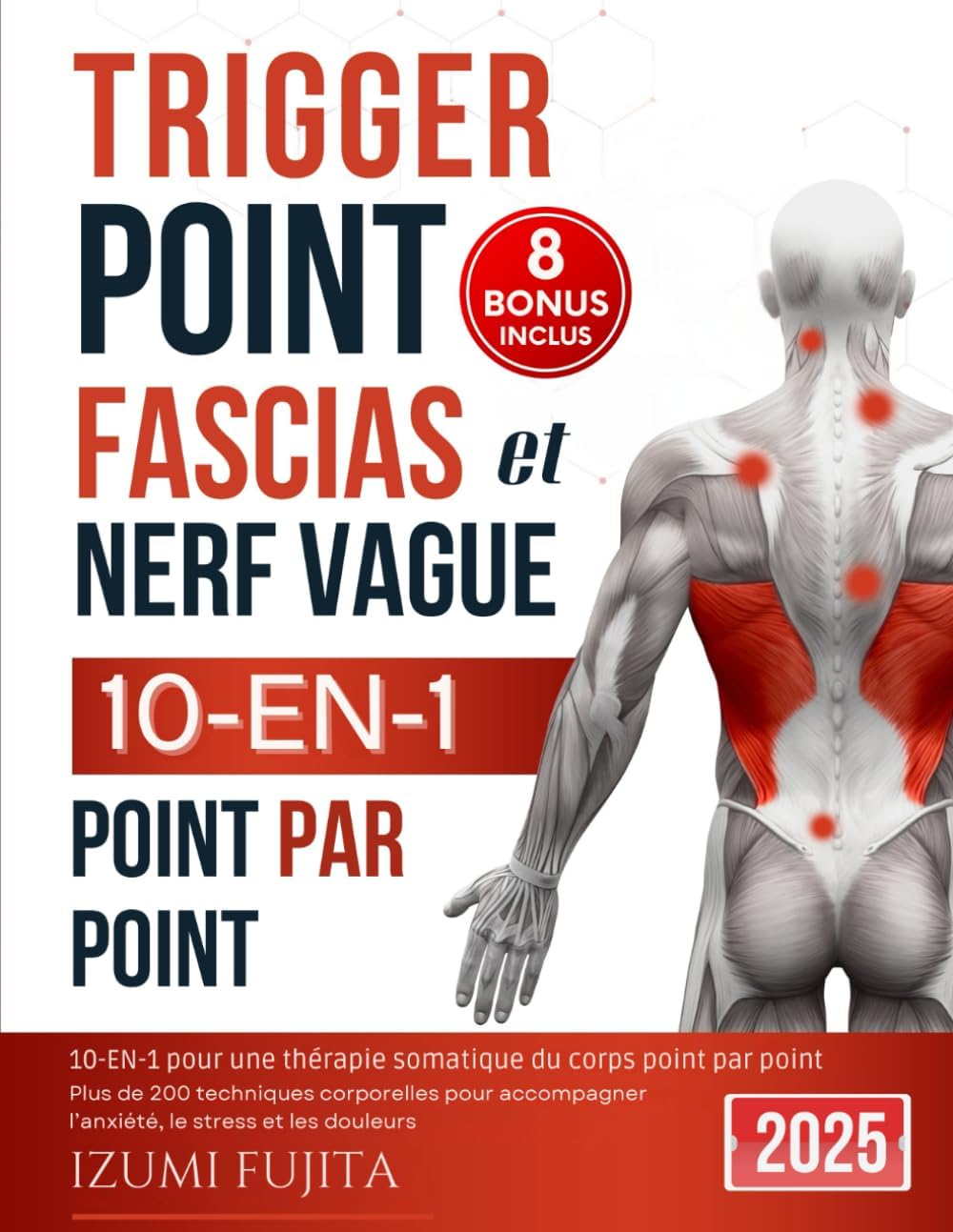 Vue 2 de Le Lien Mecanique Osteopathique