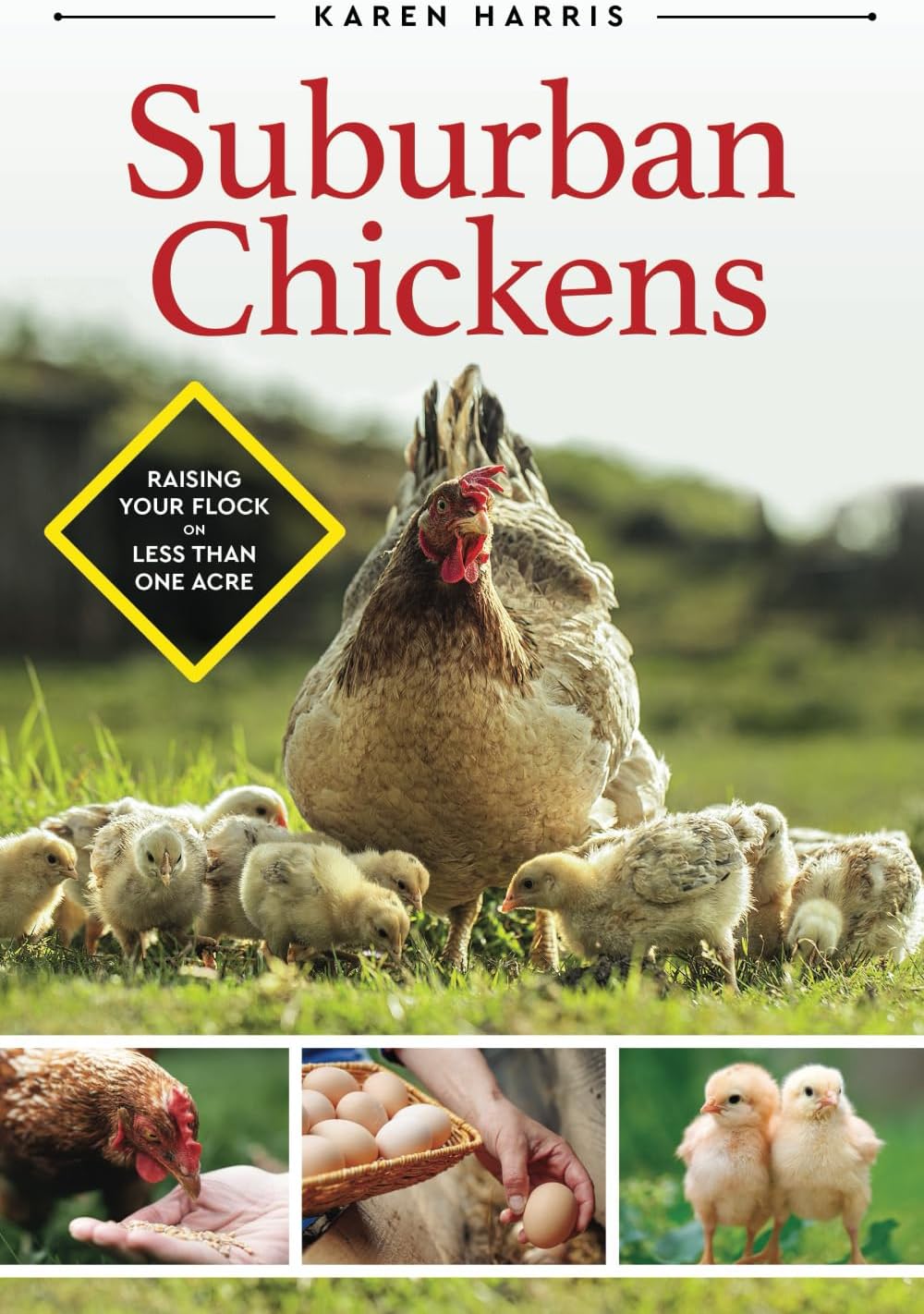 Vue 5 de Proprietes Physiques Des Materiaux