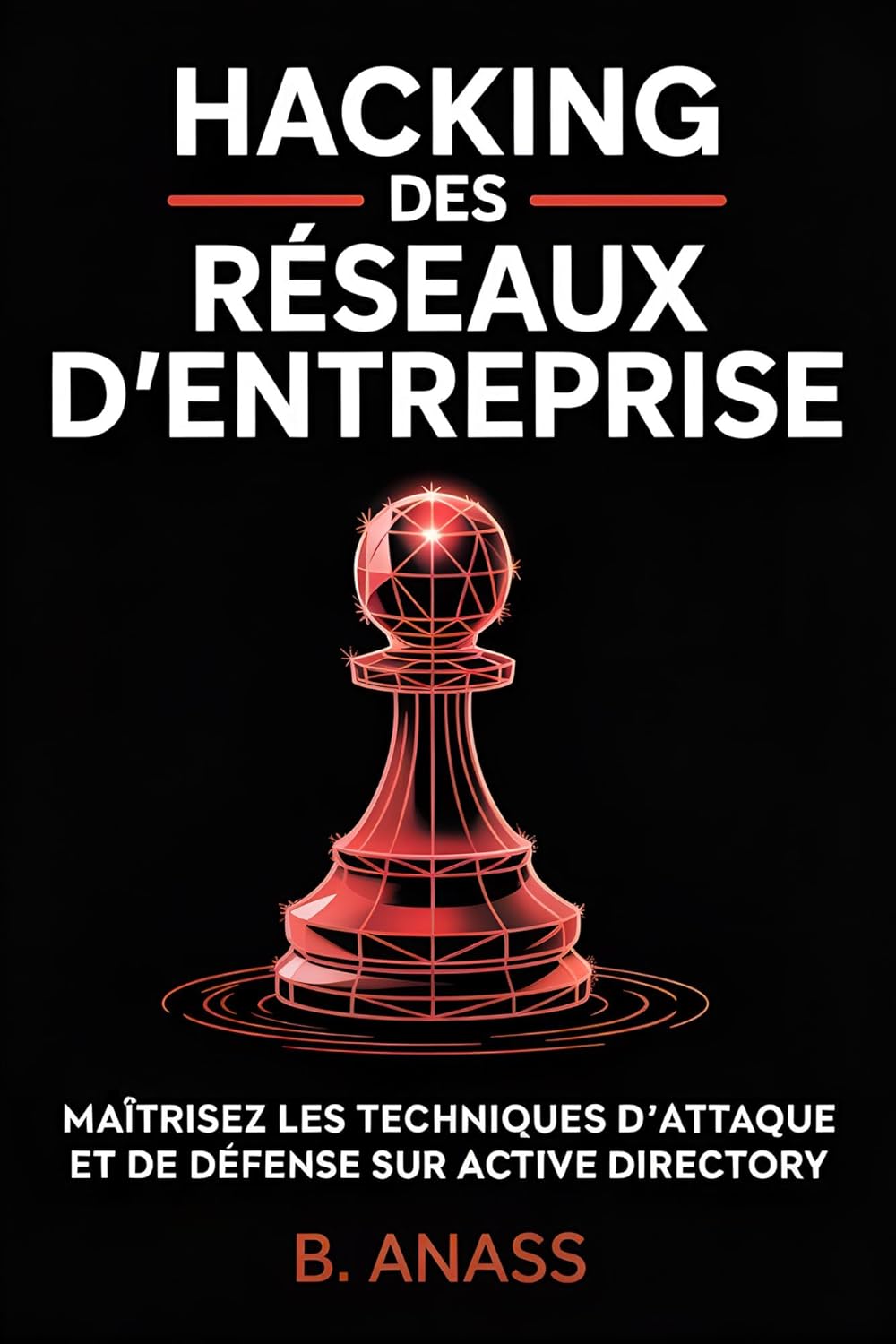 Vue 3 de Hacking Des Reseaux Dentreprise