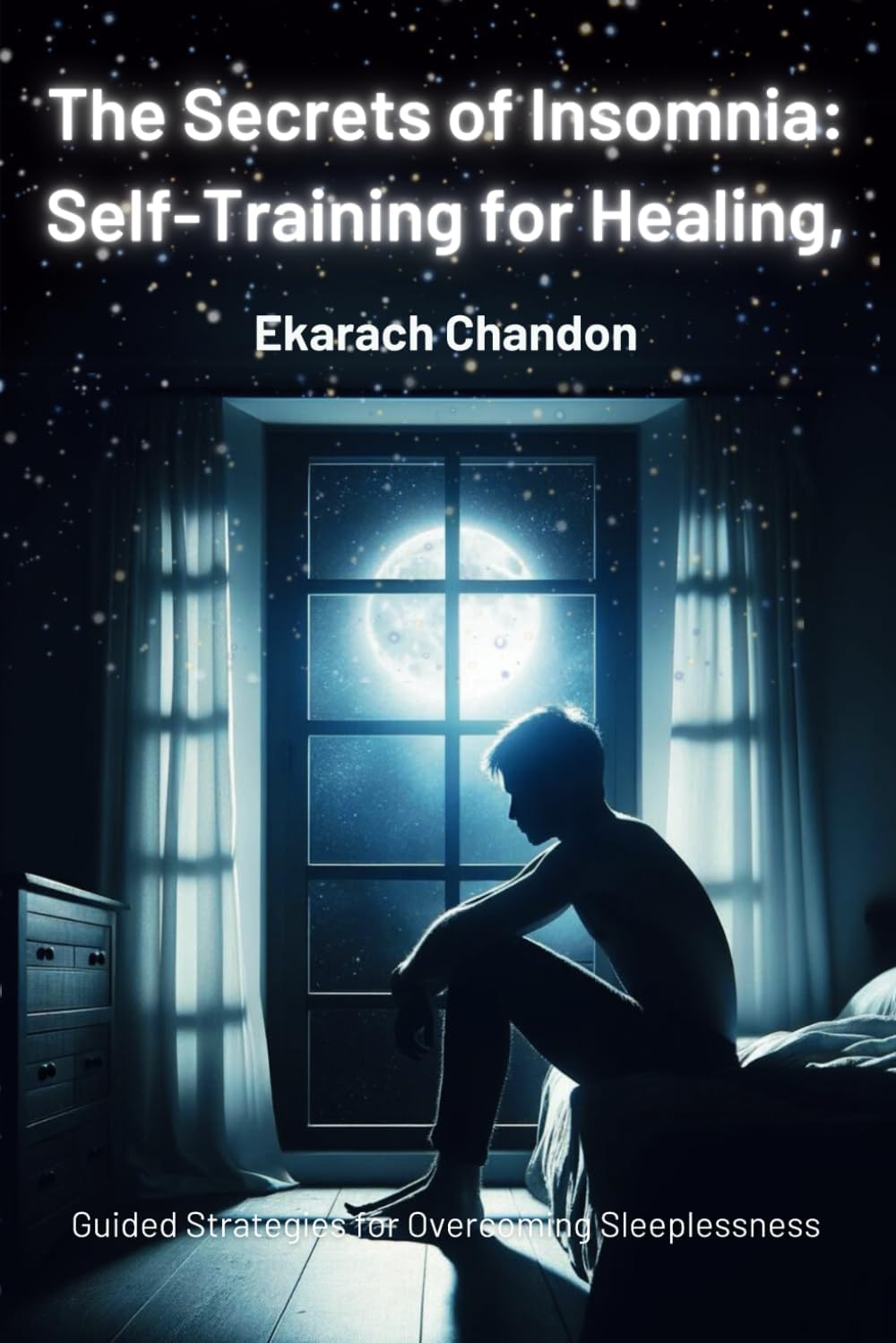 Vue 6 de Matlab And Simulink Crash