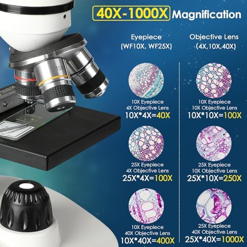 Vue 2 de Microscope Binoculaire Xx Platine