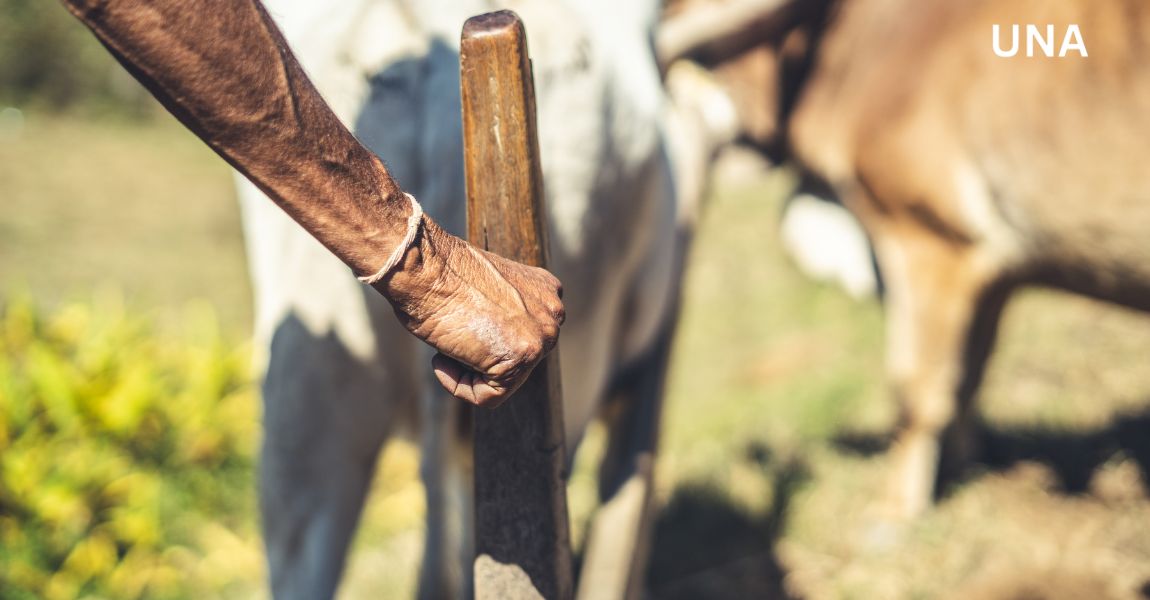 ☀️ हीटवेव से बचने के लिए आम नागरिकों के लिए सुझाव: