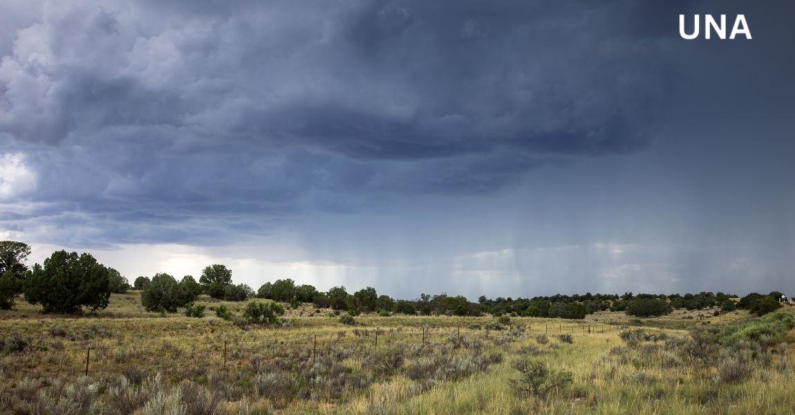 राजस्थान में तूफान और बारिश का अलर्ट: 30 जिलों में मौसम में बदलाव की संभावना