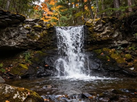 💧米尔顿 Hilton Falls：秋天看瀑布半日徒步