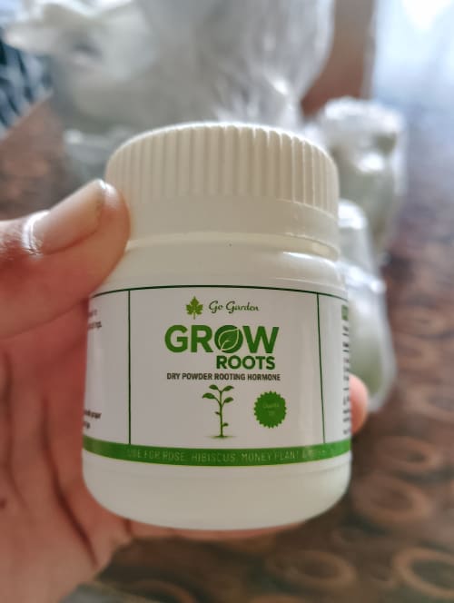 6 bottles set || Rooting powder for healthy plants 