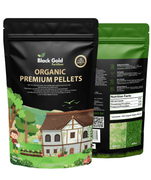 1 kg Black Gold fertilizer|| For plants, flowers and grass 