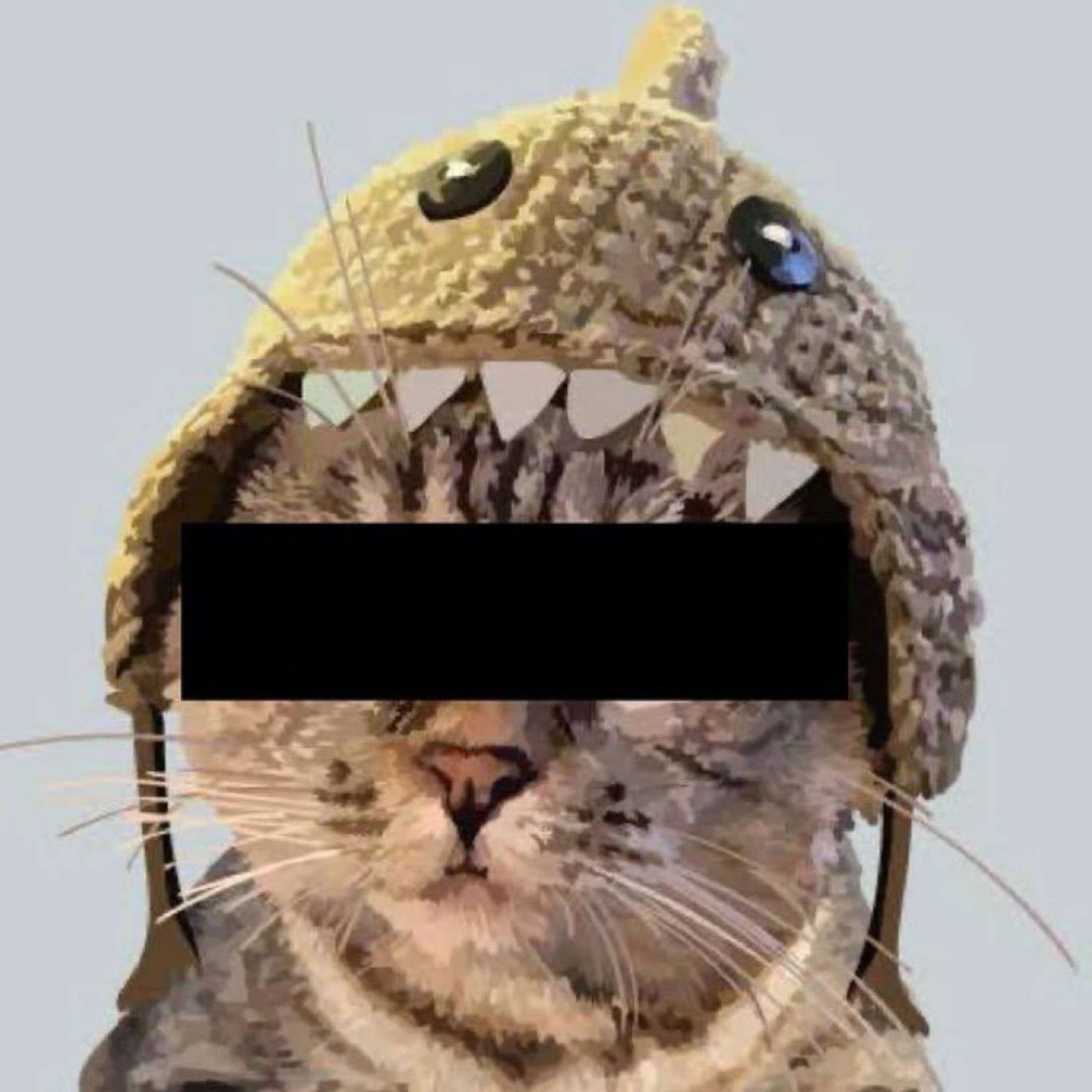 Cute Shark Hat