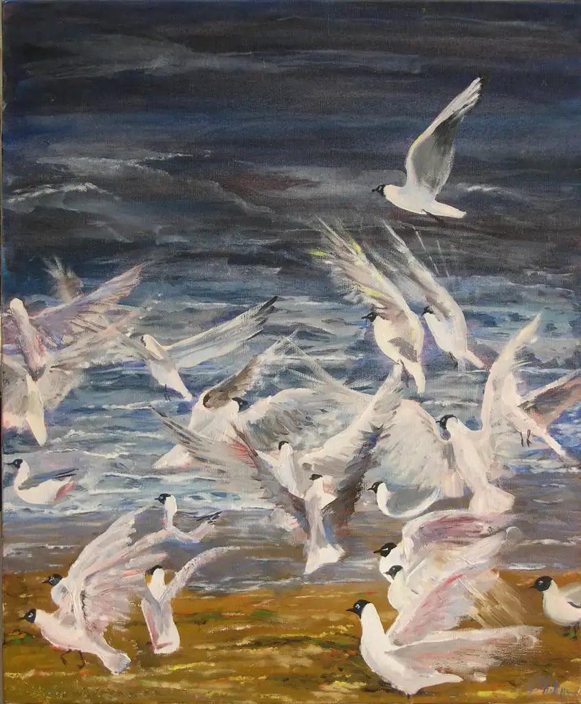 Mouettes