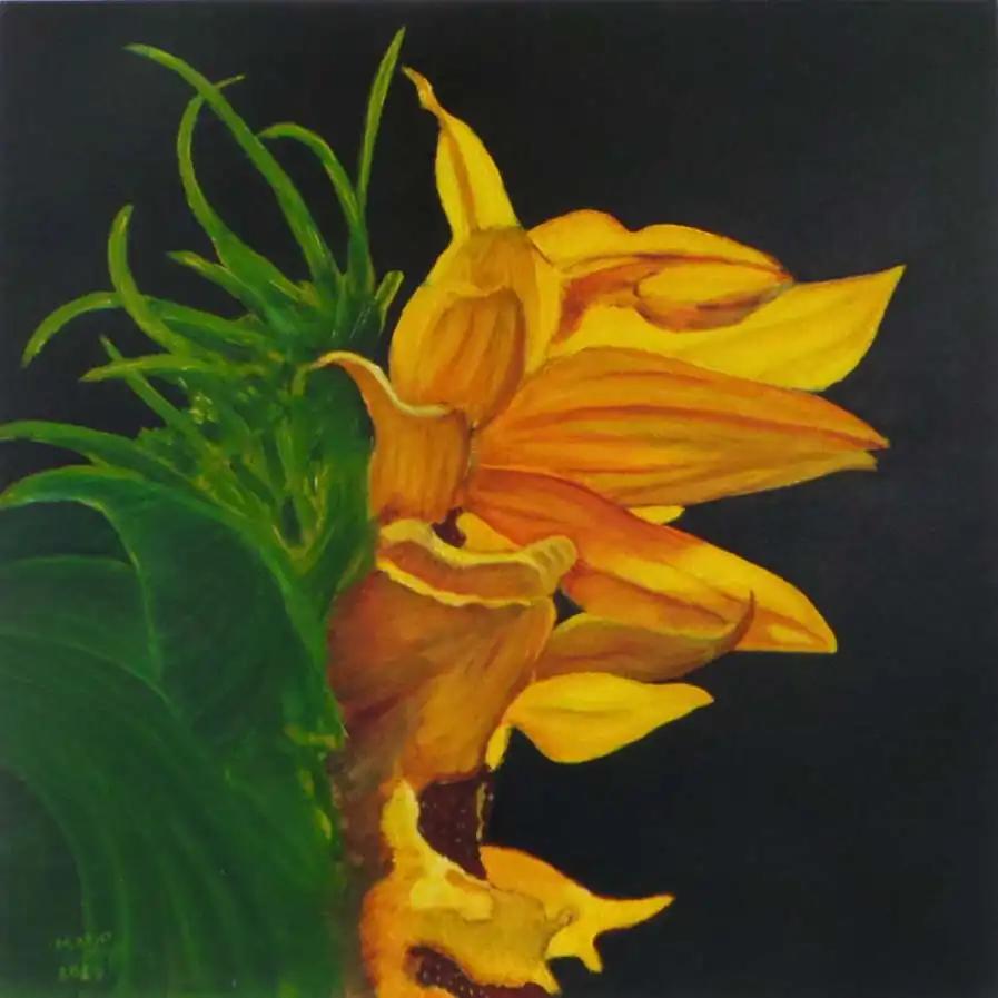 VALVERDE Marjorie