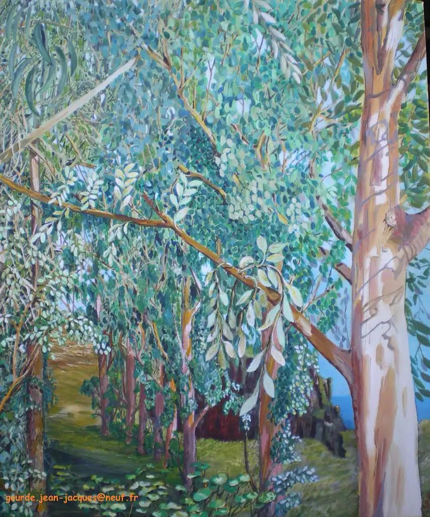 Image 23