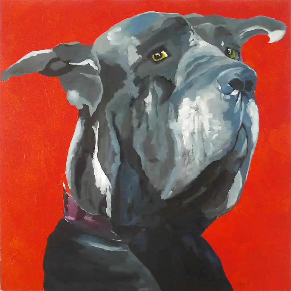 Image 21
