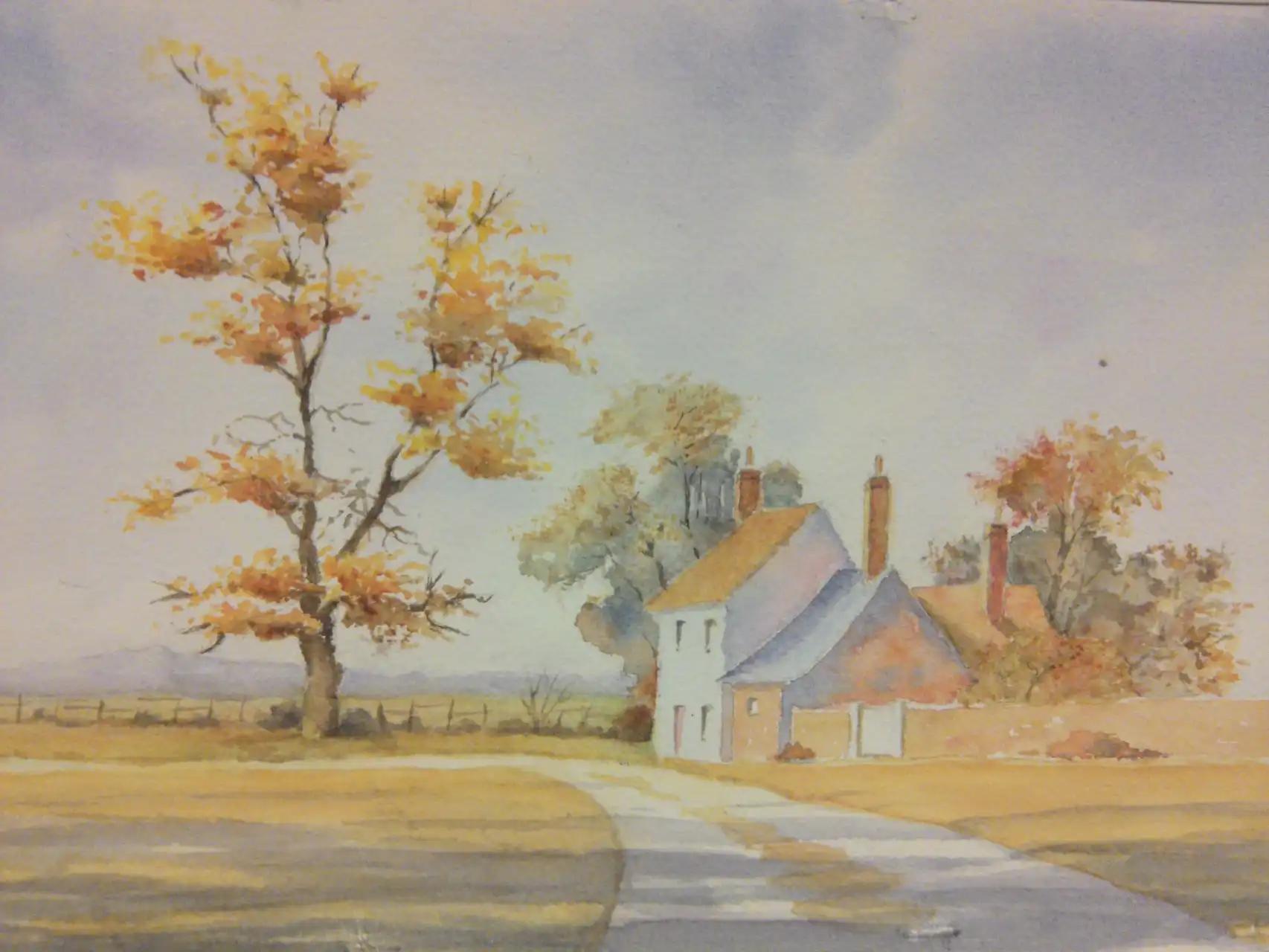 Image 11