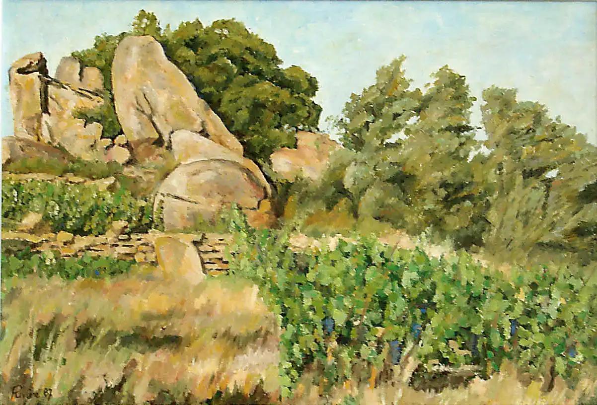Image 12