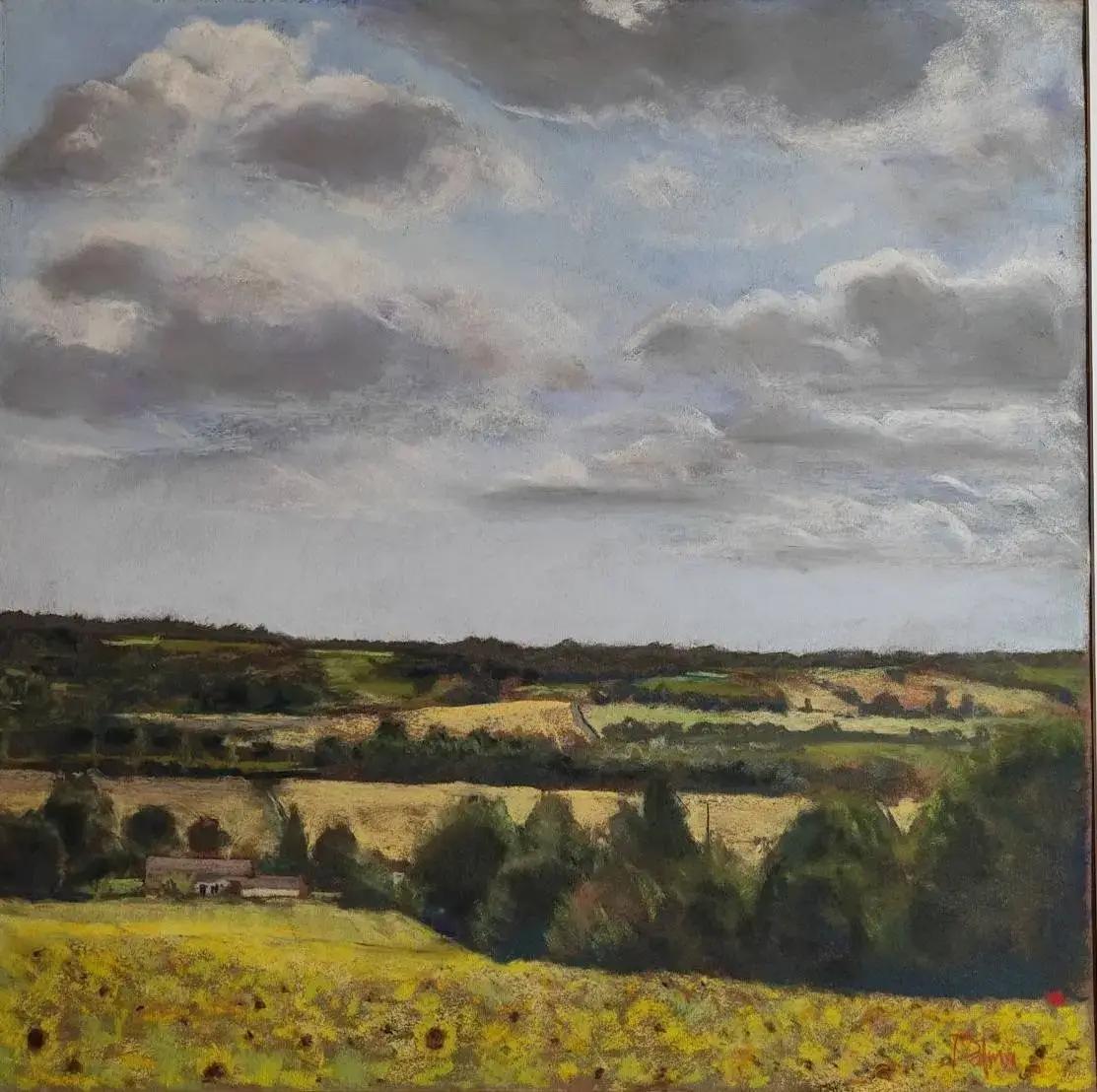 Dalma - Tournesols au Chateau Riquet ()