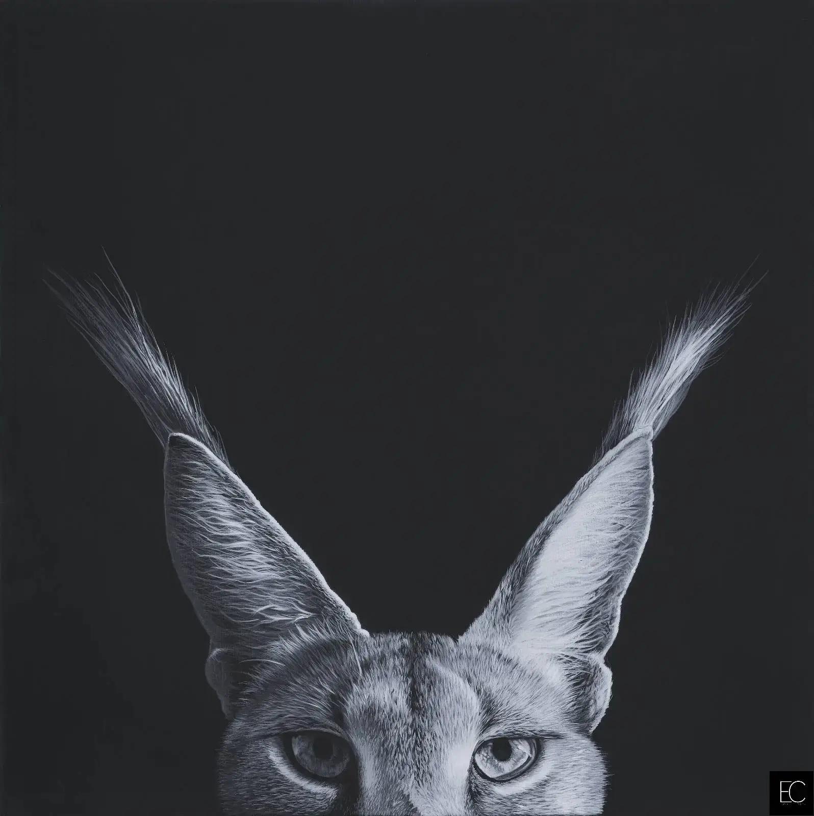 CERDA Emmanuel - caracal ()