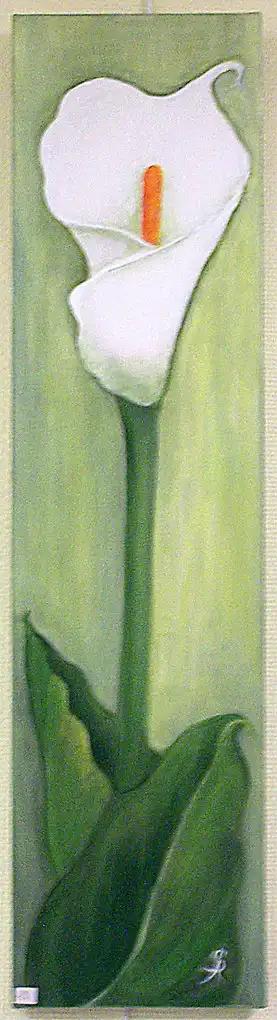 Image 29