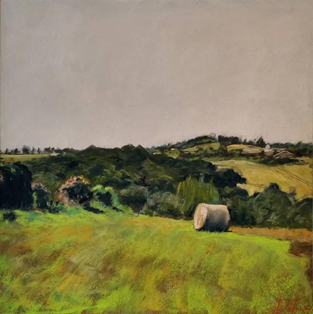 Dalma - Coteaux du lauragais ()