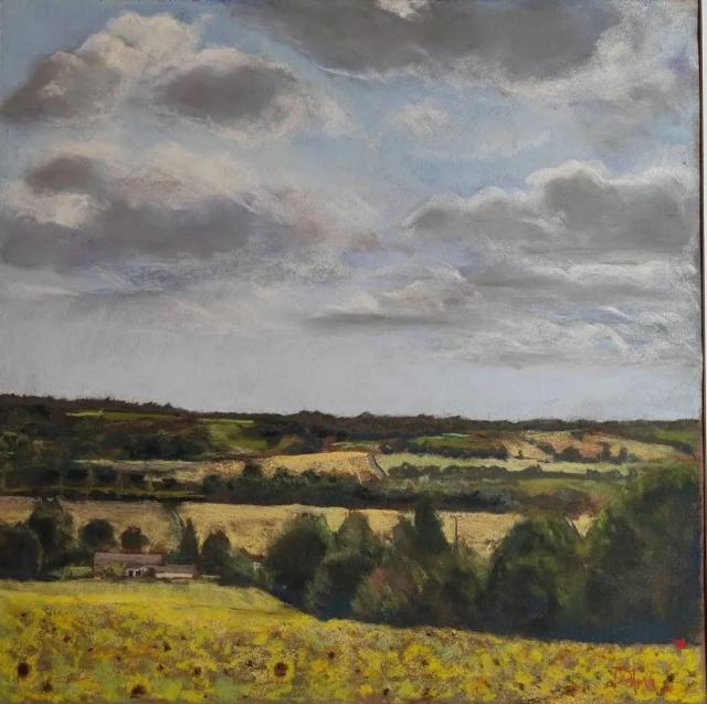 Dalma - Tournesols au Chateau Riquet ()
