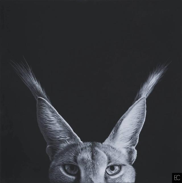 CERDA Emmanuel - caracal ()